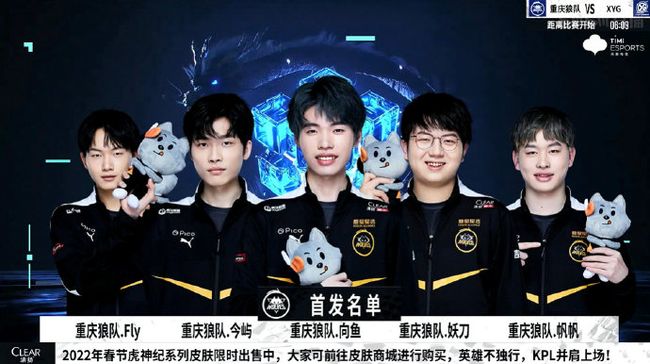高成长系数